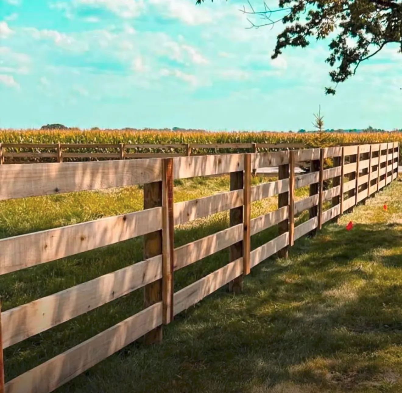 Horse Fences install by A Class Fencing in Calgary